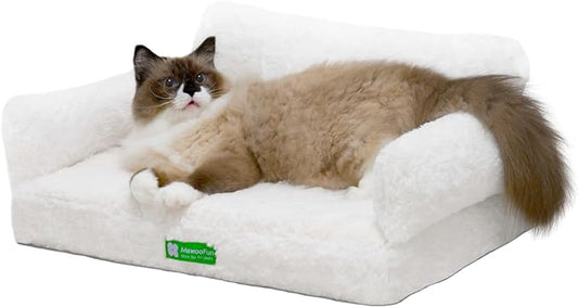 MEWOOFUN Cat Bed for Indoor Cats Orthopedic Dog Bed for Small Medium Dogs, Egg- Foam Pet Bed with Removable Washable Cover and Non-Slip Bottom (Medium, Beige)