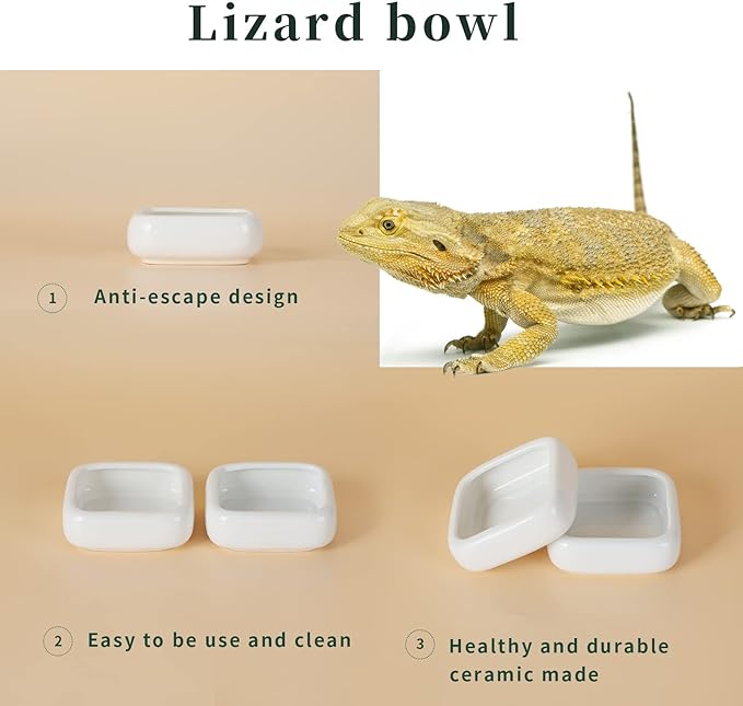 Reptile Food Bowls Ceramic Square Reptile Water Food Dish, Pet Food Bowl for Lizards, Young Bearded Dragons, Small Snakes, Gecko Tortoise Spider (White, Small 2-Pack)