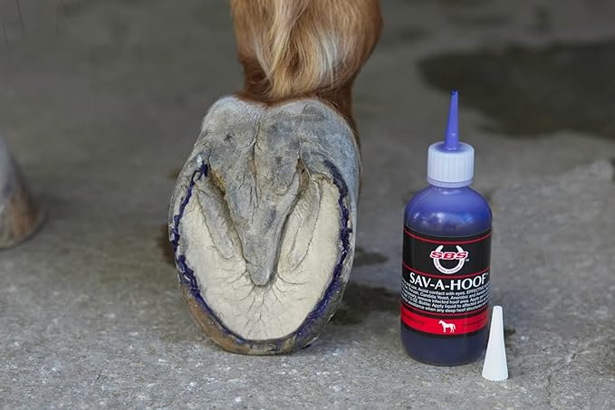 SBS Equine | SAV-A-HOOF Gel II | Hoof Treatment | Long-Lasting Time Release Formula | No Messy Waste or Run-Off (4 Fluid Oz)