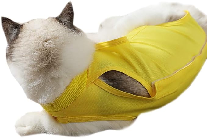 Cat Recovery Suit for Abdominal Wounds or Skin Diseases, Cat Onesie for Cats After Surgery Female Kitten Recovery Suit, Breathable E-Collar Alternative for Cats After Spay Anti Licking Wounds