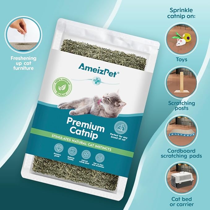 Catnip Grass for Cats Premium, Catnip Treats for Training & Play, Cat & Kitten Behaviour Dust 25g (0.06 Oz)