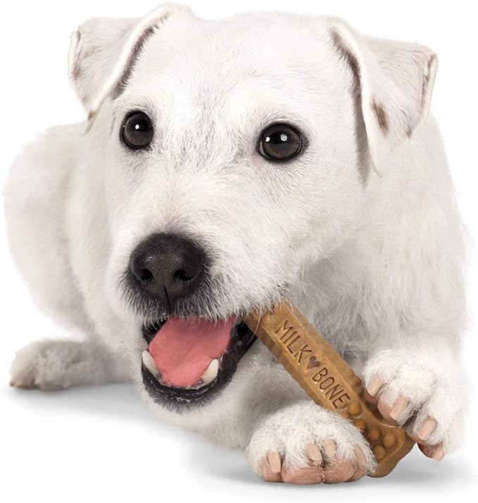 Milk-Bone Brushing Chews Daily Dental Dog Treats, Mini, 56 Count