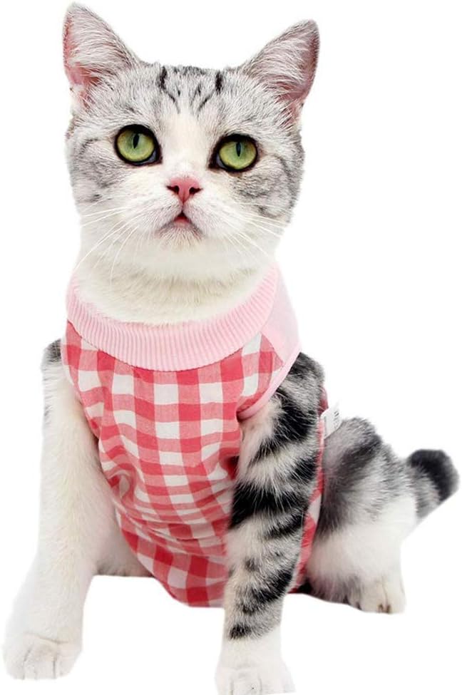 Cat Recovery Suit for Abdominal Wounds or Skin Diseases, Cat Onesie for Cats After Surgery Female Kitten Recovery Suit, Breathable E-Collar Alternative for Cats After Spay Anti Licking Wounds