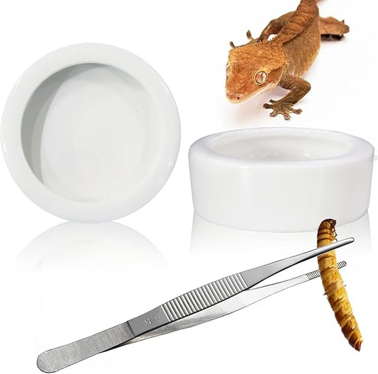 2Pcs Mini Reptile Food Dish Bowls Worm Water Dish Feeder Lizard Gecko Ceramic Pet Bowls with Tongs for Tortoise Lizard Bearded Dragon Frog Leopard Gecko Snake Chameleon(Medium, 2.68 Inch)