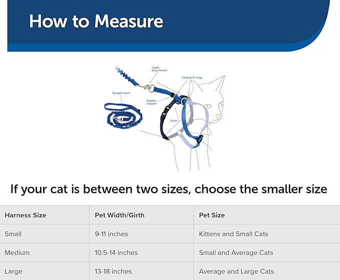 PetSafe Come with Me Kitty Harness and Bungee Leash, Harness for Cats, Large, Royal Blue/Navy, CWMK-L-RYL