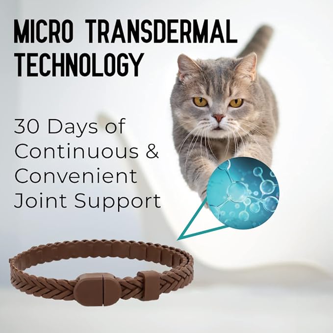 Hip + Joint Mobility Collar for Cats with Glucosamine, Chondroitin, MSM, and More | Convenient & Easy | 30 Days of Continuous Support | Water Resistant, Adjustable