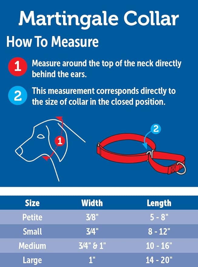 PetSafe Adjustable Martingale Collar - Only Tightens When Dogs Pull, Prevents Slipping Out - Helps with Strong Pullers, Increased Control - Alternative to Choke Collar - 1", Large, Black