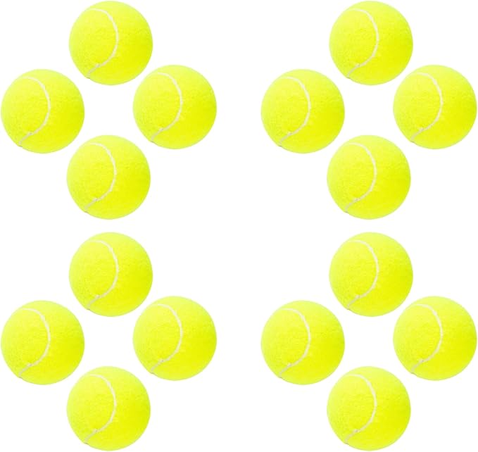 Dog Tennis Balls 16 Pack Easy Catch Pet Dog Tennis Balls for Dogs Interactive Dog Balls Toys for Medium Dogs and Small Dogs Standard Size Tennis Balls for Toss and Fetch Game(2.5 inch)