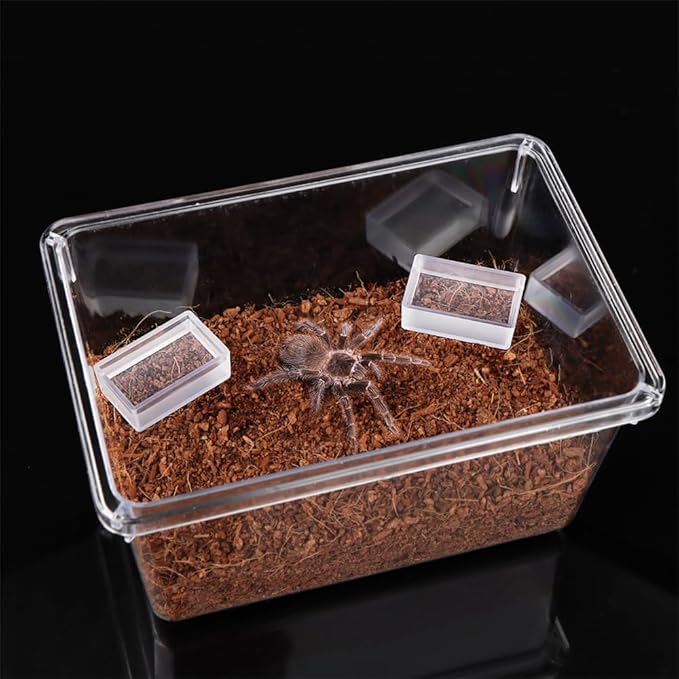 25 Pcs Tarantula Micro Water Bowl, Mini Plastic Dish Tiny Reptile Bowl for Spider Tarantula Millipede Insect (Transparent)