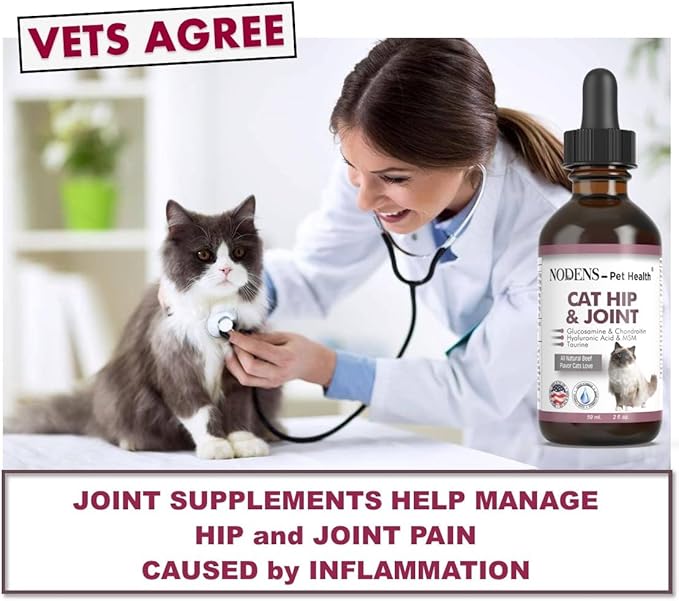 NODENS CAT Hip and Joint Glucosamine for Cats with Chondroitin and Opti-MSM® Hyaluronic Acid for Improved Joint Flexibility and Pain Relief from Inflammation and Cat Arthritis 2 floz