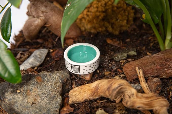 3 Pcs Micro Colorful Bowl, Trantuala Watering Cups, Tiny Bowl for Hermit Crab, Crested Gecko Food Bowl