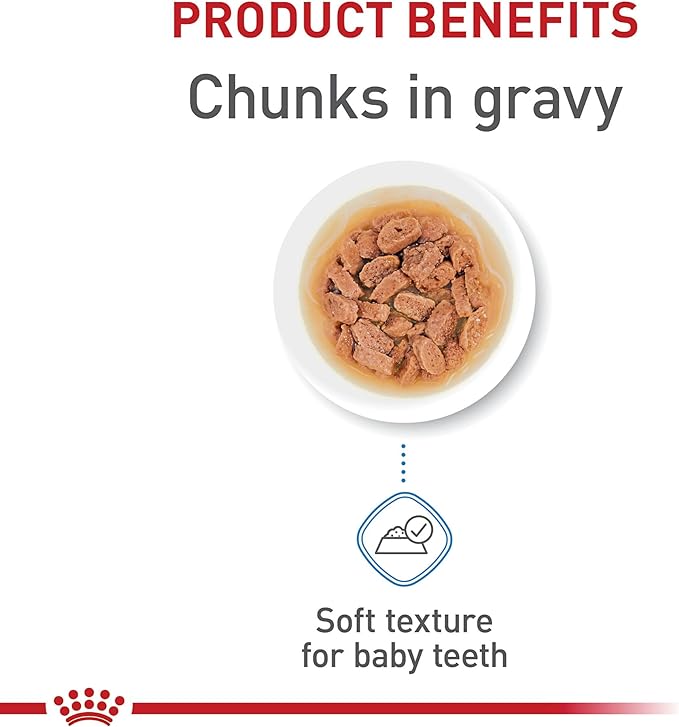 Royal Canin Size Health Nutrition Small Puppy Chunks in Gravy Wet Dog Food, 3 oz pouch (12-count)