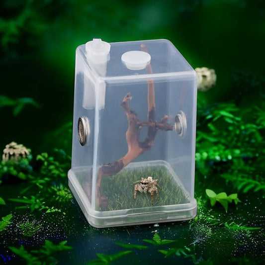 Jumping Spider Breeding Box Tarantula Transparent Terrarium Insect Habitat Hatching Container Cage Feeding Box