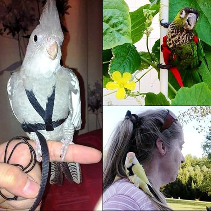 Large Bird Harness and Leash, Bird Harness for Large Parrot, Adjustable Parrot Training Flight Harness Leash for Medium Large Bird Parrot African Grey Amazon Macaw (Red, L)