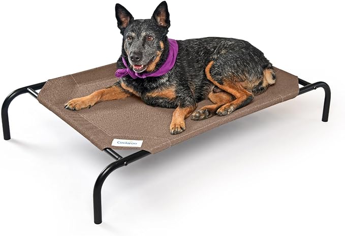 Coolaroo The Original Cooling Elevated Dog Bed, Indoor and Outdoor, Medium, Nutmeg