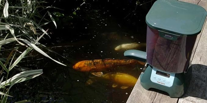 Fish Mate P7000 Large, 6 lbs Capacity, Rain-Resistant Automatic Pond Fish Feeder