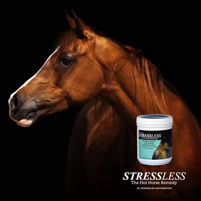Hot Horse Supplement - 60 Day Supply - Promotes Calm & Focus - All Natural