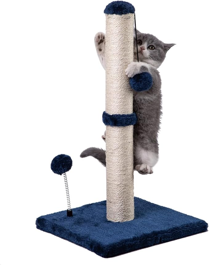 Cat Scratching Post Premium Basics Kitten Scratcher Sisal Scratch Posts with Hanging Ball 22 in for Kittens or Smaller Cats (22 inches for Kitten, Navy)
