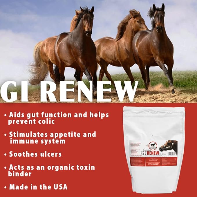 GI Renew, Probiotics for Equine, Immune and Appetite Stimulation, Prebiotics, Digestive Enzymes | Horse Supplement Providing Ulcer Relief and Organic Toxin Binder, 5 LB Pouch