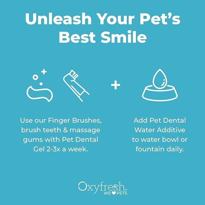 Oxyfresh Premium Pet Dental Kit for Dogs & Cats – Easy Solution for Pet Fresh Breath, Clean Teeth, Control Plaque & Tartar – Vet Formulated Pet Toothpaste, 1oz + Water Additive, 3oz + 3 LG Brushes Kit