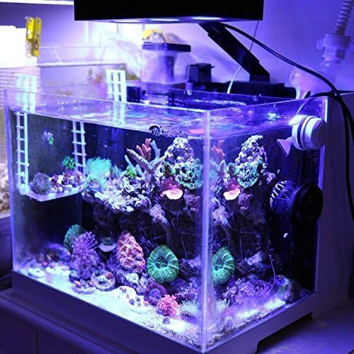 Aquarium Light –3rd Generation A029 Aquarium LED Light 30 Watts Saltwater Light with Touch Control, 5W LED Chips for Coral Reef Nano Fish Tank Marine Tanks with Timer & Screen (A029) (A029)