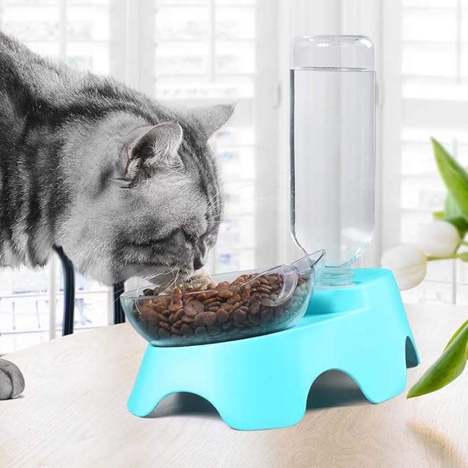 MILIFUN Double Dog Cat Bowls - Pets Water and Food Bowl Set, 15°Tilted Water and Food Bowl Set with Automatic Waterer Bottle for Small or Medium Size Dogs Cats