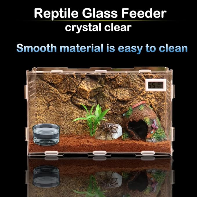 6 Pcs Glass Reptile Feeding Bowl Food Basin Tray Container Water Dish Cup for Small Reptile Lizard Spider Corn Snake Scorpion Centipede Crickets