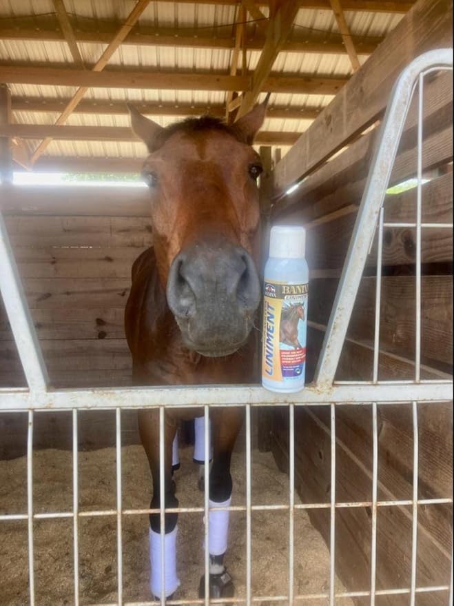 BANIXX Premium Liniment