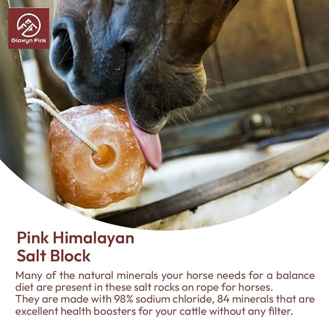 Himalayan Pink Salt Lick Pack of 3 (6lbs each block)- Mineral Salt Block on Rope 100% Organic Pink Salt Block for Horses Deer and Live Stock. Deer Attractant for Deer Hunting