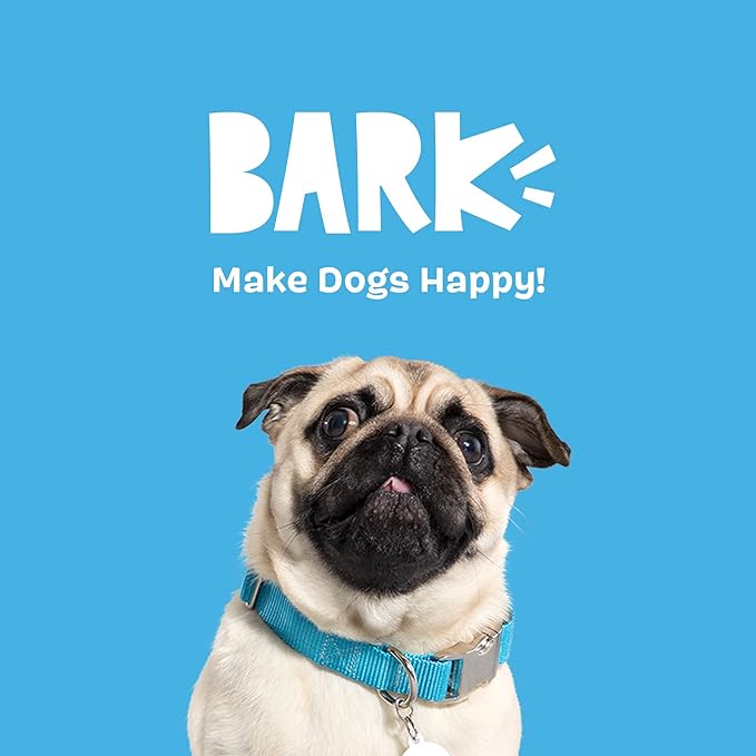 Barkbox 2 in 1 Interactive Plush Dog Toy - Rip and Reveal Dog Toy| Stimulating Squeaky Pet Enrichment and Puppy Toys | Monsieur Acorn | Small Dogs