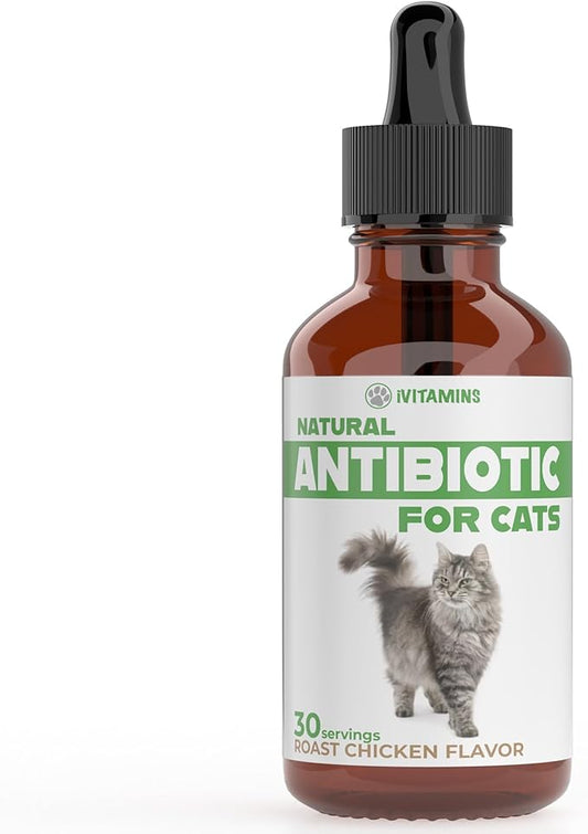 Natural Antibiotics for Cats | Cat Supplements | Cat Antibiotic | Cat Antibiotics | Cat Immune Support | Antibiotic for Cats | Cat Multivitamin | Multivitamin for Cats | 2 Pack: 60 Servings Total