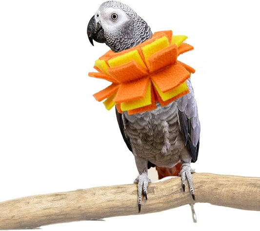 Neck Collar for African Grey Parrots Feather Plucking Bird Anti Bite Collar Neck Shield