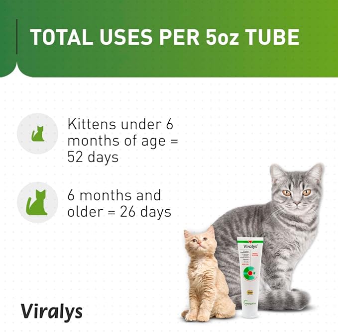 Vetoquinol Viralys Gel L-Lysine Supplement for Cats, 5oz - 2 pack - Cats & Kittens of All Ages - Immune Health - Sneezing, Runny Nose, Squinting, Watery Eyes - Palatable Maple Flavor Lysine Gel