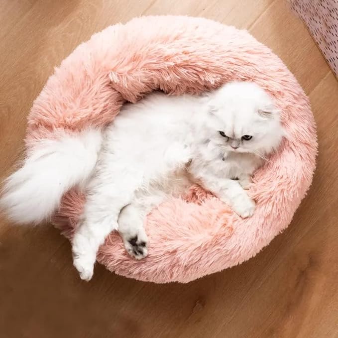 Cat Beds for Indoor Cats - Cat Bed Washable 20/24 inches, Dog Beds for Small Medium Dogs, Anti Anxiety Round Fluffy Plush Faux Fur Cat Bed,Thick Bottom Keep Pets Off The Cold Tile
