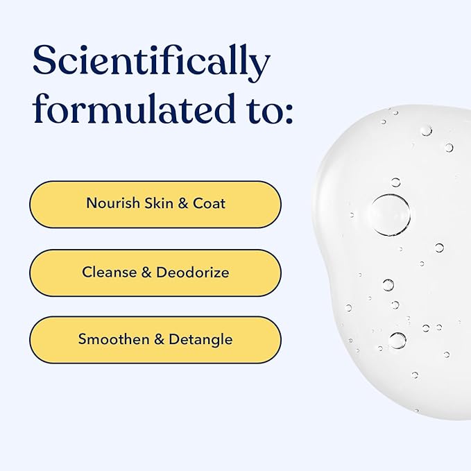 Honest Paws Dog Shampoo and Conditioner - Premium Dog Wash for Allergies and Dry, Itchy, Moisturizing for Sensitive Skin - Sulfate Free, Plant Based, All Natural - 2 Pack