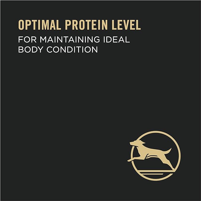 Purina Pro Plan High Protein Dog Food Gravy, Shredded Turkey, Peas and Brown Rice Entree - 5.5 oz. Can