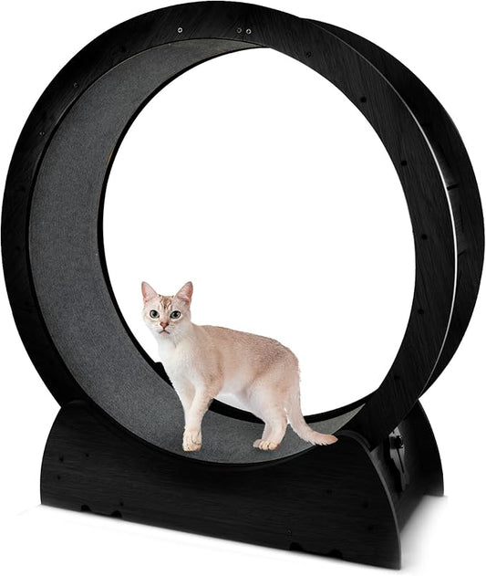 Cat Wheel Exercise Cat Treadmill for Fitness Weight