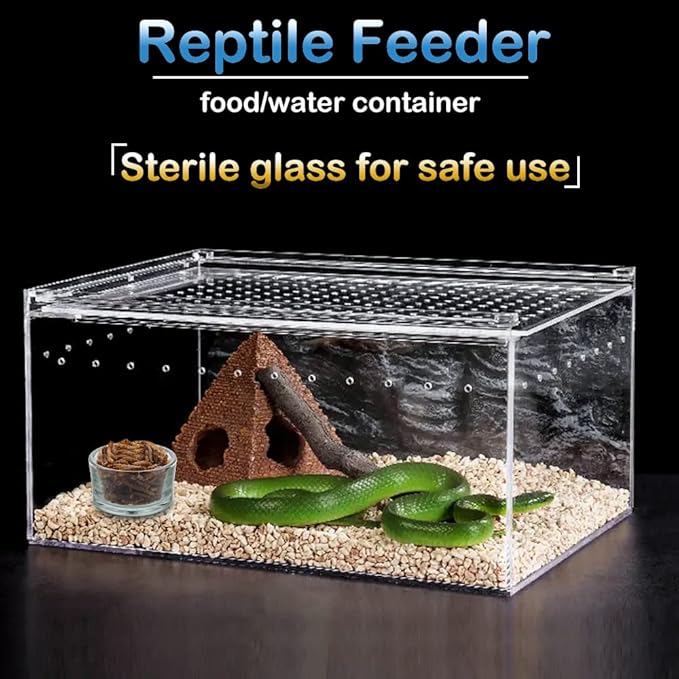 6 Pcs Glass Reptile Feeding Bowl Food Basin Tray Container Water Dish Cup for Small Reptile Lizard Spider Corn Snake Scorpion Centipede Crickets