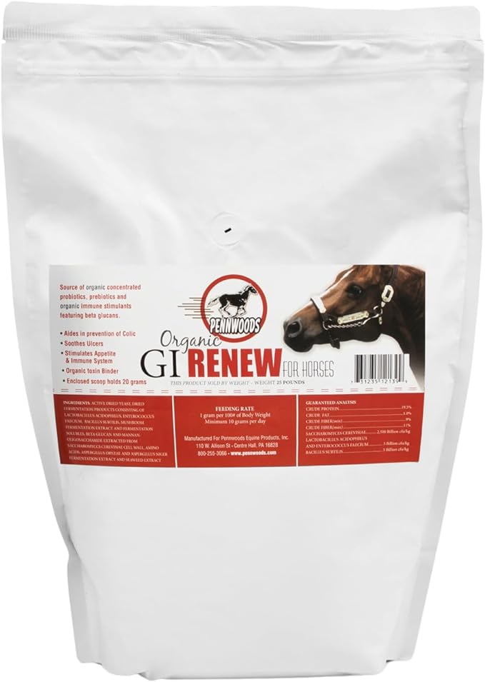 GI Renew, Probiotics for Equine, Immune and Appetite Stimulation, Prebiotics, Digestive Enzymes | Horse Supplement Providing Ulcer Relief and Organic Toxin Binder, 5 LB Pouch