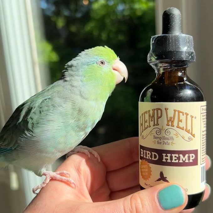 Organic Hemp Well Bird Hemp Oil – 2 Ounces. Parrot, Parakeet, Cockatiel and All Birds for Supporting Health, Feather Plucking, Destructive Behavior Reduction, Immune Support, and Relaxation.