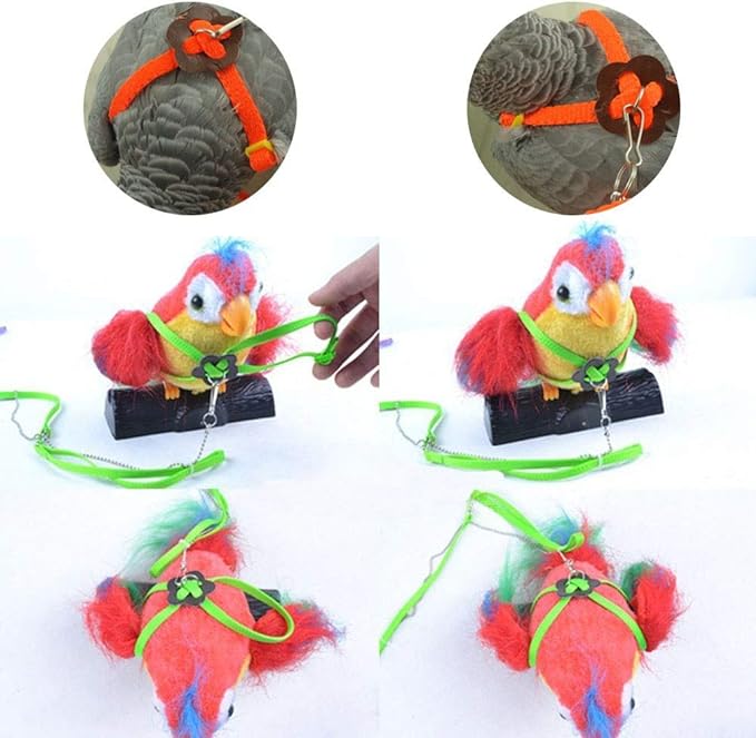 Bonaweite 2 Pack Adjustable Harness Leash, Pet Birds Nylon Anti-bite Training Hraness Outside Walk for Parrot African Grey Cockatoo Macaw Ringneck Parakeet Cockatiel Reptile Lizar