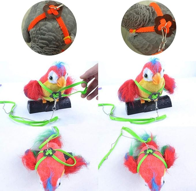 Bonaweite 2 Pack Adjustable Harness Leash, Pet Birds Nylon Anti-bite Training Hraness Outside Walk for Parrot African Grey Cockatoo Macaw Ringneck Parakeet Cockatiel Reptile Lizar