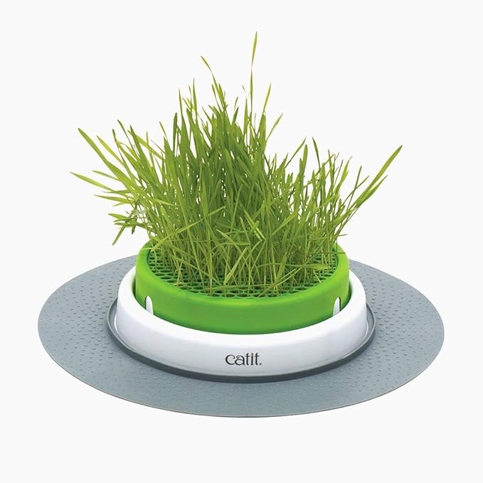Catit Senses 2.0 Grass Planter & Catit Senses 2.0 Cat Grass Kit (Set of 3)