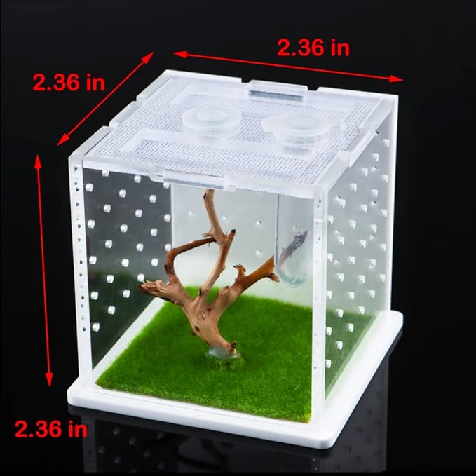 Spider Acrylic Breeding Box, Tarantula Transparent Terrarium, Jumping Spider Feeding Box, Insect Habitat Hatching Container Cage