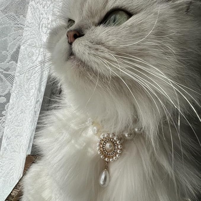 Cat and Dog Collar A Vintage Pearl for Pets, Elegant Decoration for Cats and Dogs (XS)