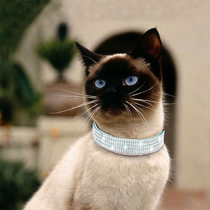 Cat Collars,Rhinestone for Girl Cats Bling Kitten Flower Adjustable Breakaway Collar with Bell Soft Velvet Leather Collar for Puppy Small Dogs (Blue)