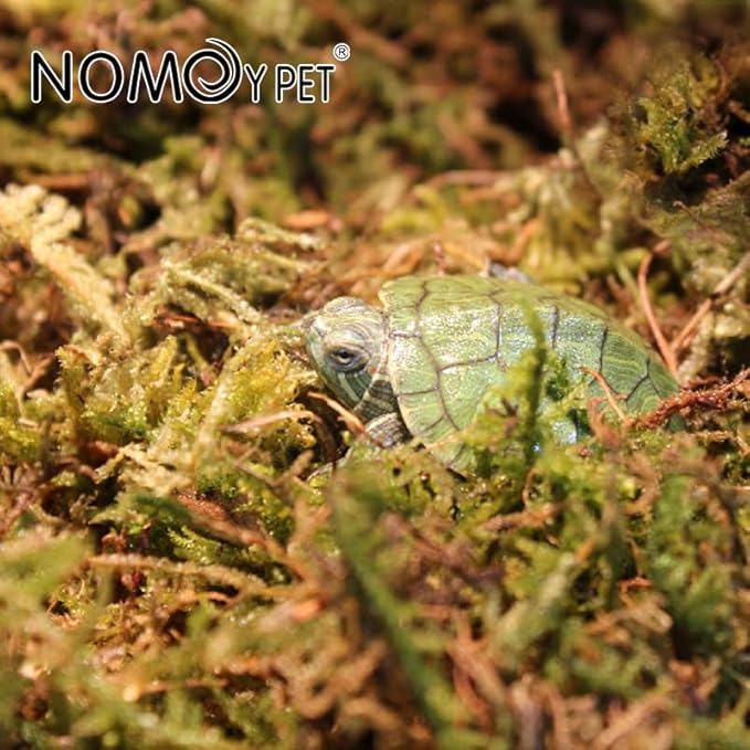 Reptile Moist Moss for Humidity, Great for Snakes, Turtle and Other Reptiles