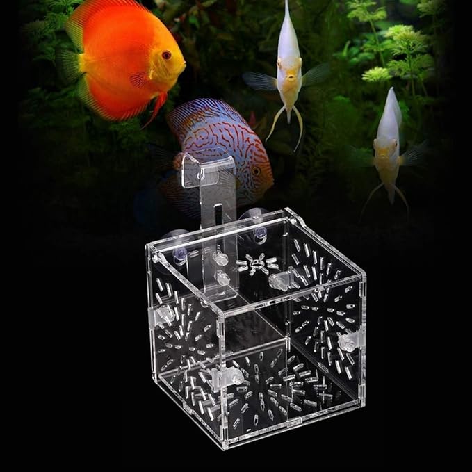 Aquarium Breeding Isolation Box, Transparent Acrylic Fish Isolation Box Fish Separator with Suction Cups for Small Baby Fishes Shrimp Clownfish Guppy(10CM*10CM*10CM)