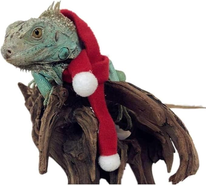 HAICHEN TEC Lizard Clothes for Bearded Dragons Christmas Hat Scarf Set Reptile Apparel Handmade Flannel Clothes