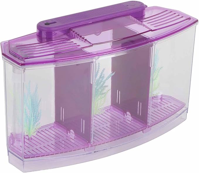 AYNEFY LED Acrylic Three Divisions Breeding Isolation Box for Small Fishes withLights and Grass ()